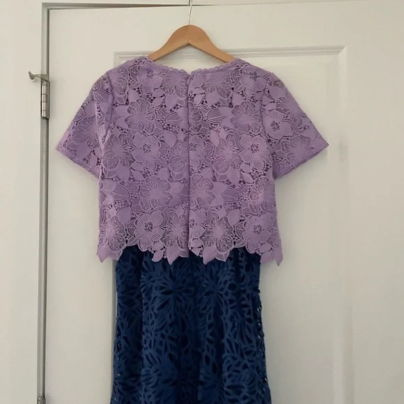 Anthropologie Eri + Ali Graceanne Colorblock Lace Sheath Dress - Picture 5 of 7